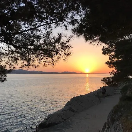Pino Zadar